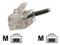 HYPERTEC Cordon t&eacute;l&eacute;phonique RJ11 / RJ11 noir - 2 m
