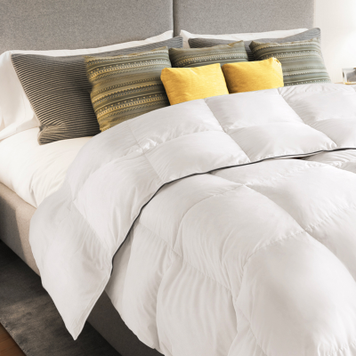 IDMARKET Couette 220x240 cm en plume d'oie anti acarien 500 gr