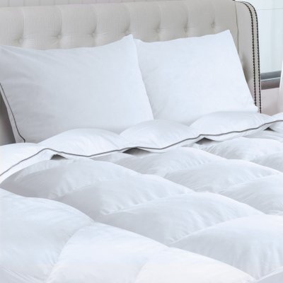 IDMARKET Couette 220x240 cm en plume d'oie anti acarien 500 gr + 2 oreillers