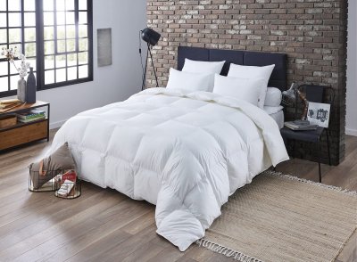 DODO Couette 240x220 2 personnes chaude naturelle duvet et plumettes enveloppe coton helsinki