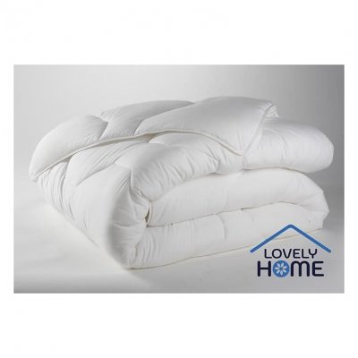 LOVELY HOME Couette antiacariens  - 220 x 240 cm - Blanc