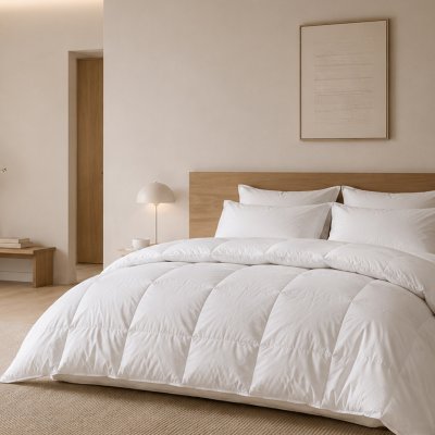 LINNEA Couette cap nord garnissage duvet d'oie L&eacute;ger (&eacute;t&eacute;) 200x200 cm - Blanc