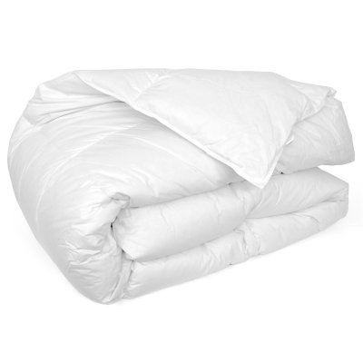 LINNEA Couette cap nord garnissage duvet d'oie L&eacute;ger (&eacute;t&eacute;) 280x240 cm - Blanc