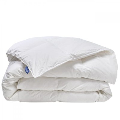 BLEU CALIN Couette chaude 230g/m2 90% duvet de Canard 200x200cm