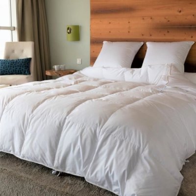 CASTEX COUETTES NATURELLES Couette naturelle 2 en 1 gonflante en duvet et coton bio 260x240 cm
