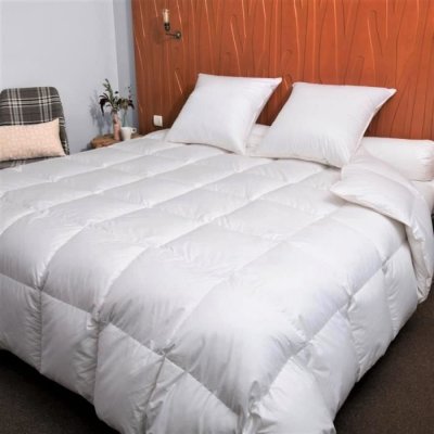 CASTEX COUETTES NATURELLES Couette naturelle chaude duvet d&acute;oie et coton bio 240x220 cm