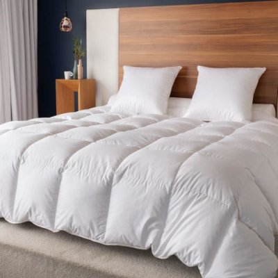 CASTEX COUETTES NATURELLES Couette naturelle chaude en duvet et coton bio 240x220 cm