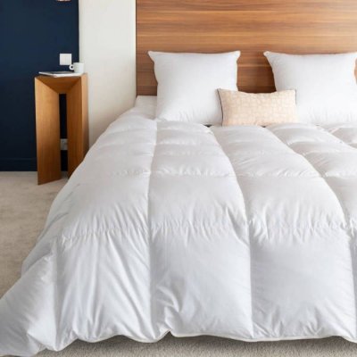 CASTEX COUETTES NATURELLES Couette naturelle chaude en duvet et coton bio king size 280x240 cm