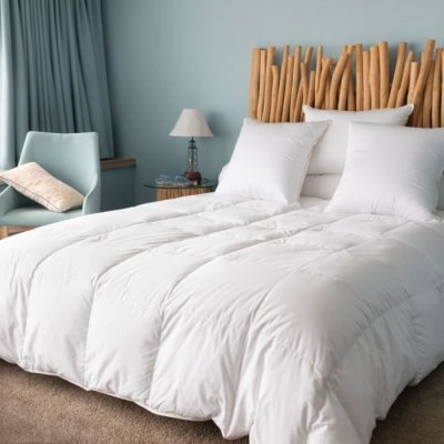 CASTEX COUETTES NATURELLES Couette naturelle l&eacute;g&egrave;re en duvet et coton bio 260x240&nbsp;cm