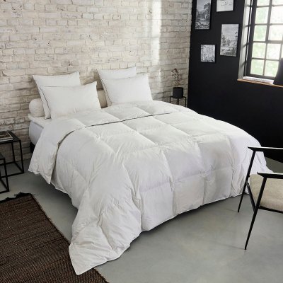 DUNLOPILLO Couette Premium Naturelle Temp&eacute;r&eacute;e - 30% duvet 240x260 cm - 
