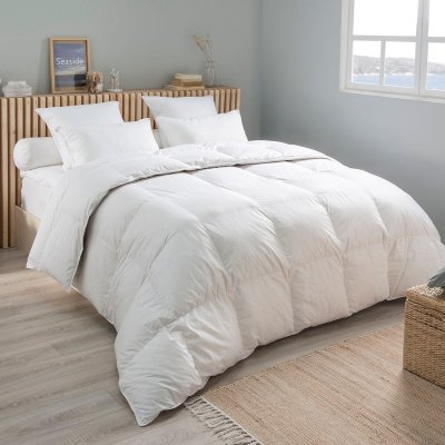DUNLOPILLO Couette Saphir Temp&eacute;r&eacute;e - 80% duvet de canard 200x200 cm - 