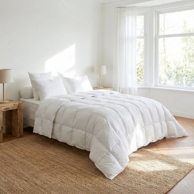 DODO Couette Tradition LEGERE - 70% Duvet d'Oie - 200/200 - 