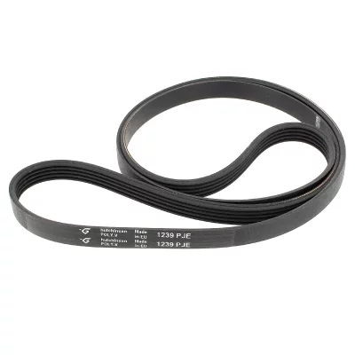 WHIRLPOOL Courroie 1238j4 = 1239j5 481235818215 pour Lave-linge 