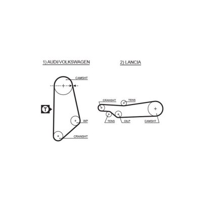 GATES Courroie crant&eacute;e PowerGrip&reg; 5031 