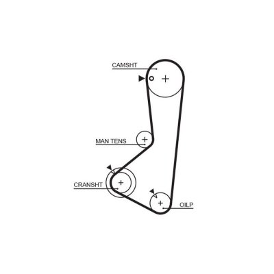 GATES Courroie crant&eacute;e PowerGrip&reg; 5115 