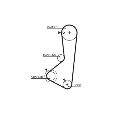 GATES Courroie crant&eacute;e PowerGrip&reg; 5256XS 