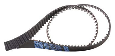 DAYCO Courroie de distribution  94872 (X1)