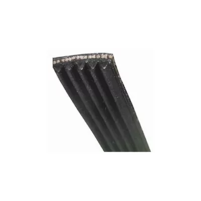 VEDETTE Courroie de lave-linge  - 113.151