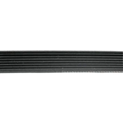 PROLINE Courroie Poly V 1970 H8 Pour Seche Linge  - 416004400