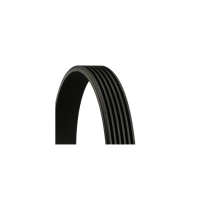 CONTITECH Courroie trap&eacute;zo&iuml;dale &agrave; nervures 6PK 1194 EXTRA 