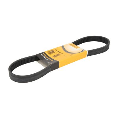 CONTITECH Courroie trap&eacute;zo&iuml;dale &agrave; nervures 6PK 848 ELAST 