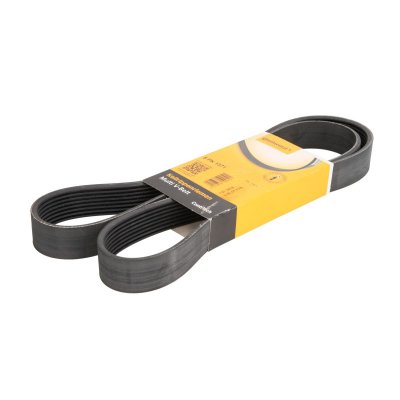 CONTITECH Courroie trap&eacute;zo&iuml;dale &agrave; nervures 8PK1371 