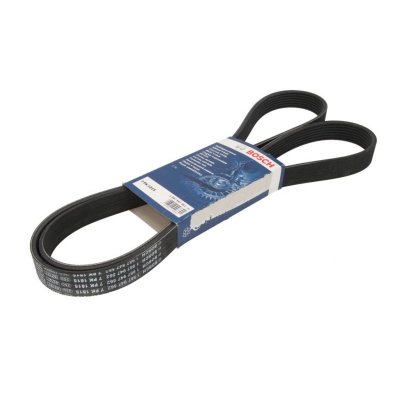 BOSCH Courroie trap&eacute;zo&iuml;dale &agrave; nervures  1 987 947 562