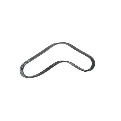 SKF Courroie trap&eacute;zo&iuml;dale &agrave; nervures (d'accessoires)  VKMV 4SK903