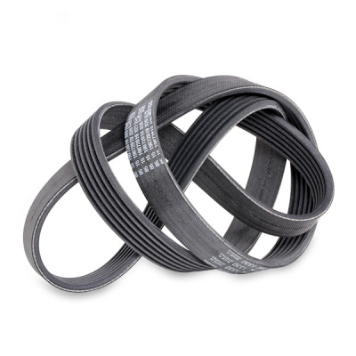 SKF Courroie trap&eacute;zo&iuml;dale &agrave; nervures (d'accessoires)  VKMV 6PK1555