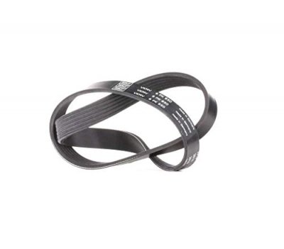 SKF Courroie trap&eacute;zo&iuml;dale &agrave; nervures (d'accessoires)  VKMV 6PK850