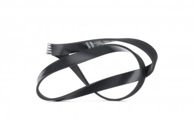 DAYCO Courroie trap&eacute;zo&iuml;dale &agrave; nervures  6PK1000