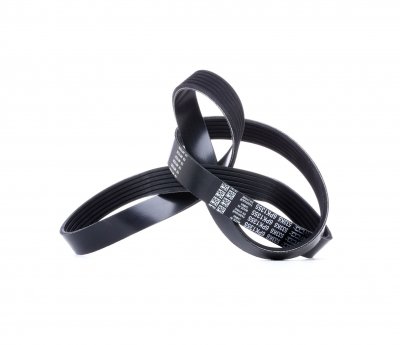DAYCO Courroie trap&eacute;zo&iuml;dale &agrave; nervures  6PK1355