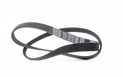 DAYCO Courroie trap&eacute;zo&iuml;dale &agrave; nervures  7PK1127