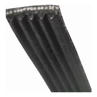 ARISTON Courroie type j mod&egrave;le c00141664 pour lave-linge 