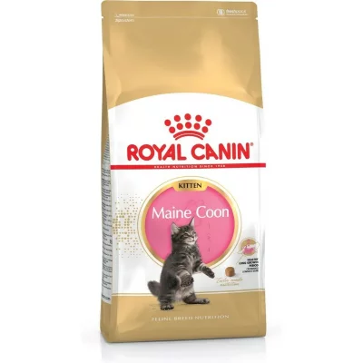 ROYAL CANIN Croquettes chat MAINE COON KITTEN CHATON JUSQU'A 15 MOIS 400G