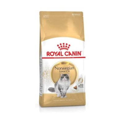 ROYAL CANIN Croquettes chat NORWEGIAN ADULT NORVEGIEN A PARTIR DE 12 MOIS 400G