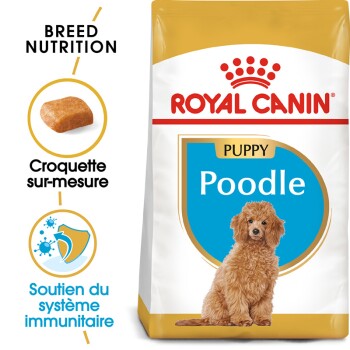 ROYAL CANIN Croquettes chien BREED HEALTH NUTRITION CANICHE JUNIOR 3KG