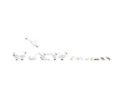 NOCH Cygnes et canards H0  15774 1 set