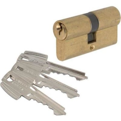 TESA ASSA ABLOY Cylindre 2 entr&eacute;es s'entrouvrant laitonn&eacute; - 30 x 60 mm - TE5 - Tesa