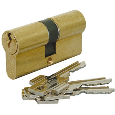 TESA ASSA ABLOY Cylindre 2 entr&eacute;es vari&eacute; laitonn&eacute; - 40 x 40 mm - TE5 - Tesa
