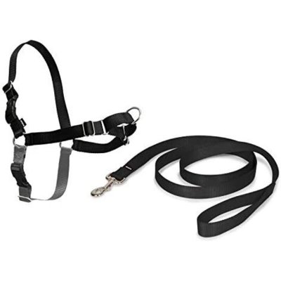 PETSAFE Cynnotek - harnais easywalk chien l noir CY3336