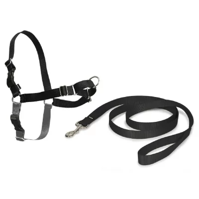 PETSAFE Cynnotek - harnais easywalk chien xl noir CY3337