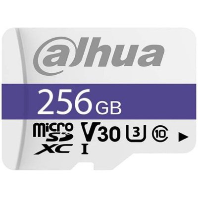 DAHUA TECHNOLOGY Dahua Microsd P100 Surveillance 256gb Memory Card Argent&eacute;