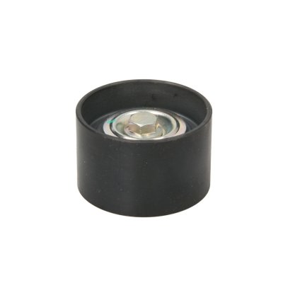 DAYCO  Galet enrouleur (courroie d'accessoire) APV1099
