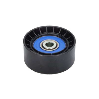 DAYCO  Galet enrouleur (courroie d'accessoire) APV1121