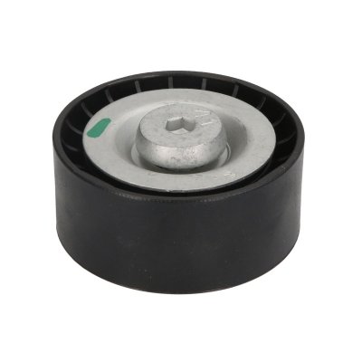 DAYCO  Galet enrouleur (courroie d'accessoire) APV2396