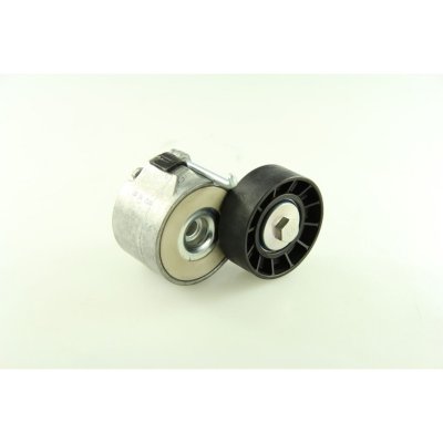 DAYCO  Galet tendeur (courroie d'accessoire) APV1150 IVECO DAILY