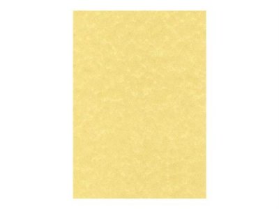 GENERIQUE Decadry PCL1600 Bo&icirc;te de 100 feuilles 21X29,7 cm 95 g Parchemin Or