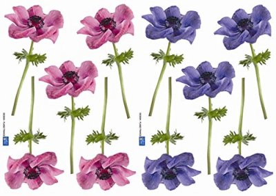 PLAGE D&eacute;coration adh&eacute;sive  157008 Sticker Mural - Anemones, 2 Planches, 29,7 x 21 cm