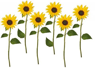 PLAGE D&eacute;coration adh&eacute;sive Tournesols, Polyvinyle, Jaune, 21 x 0.1 x 29.6 cm